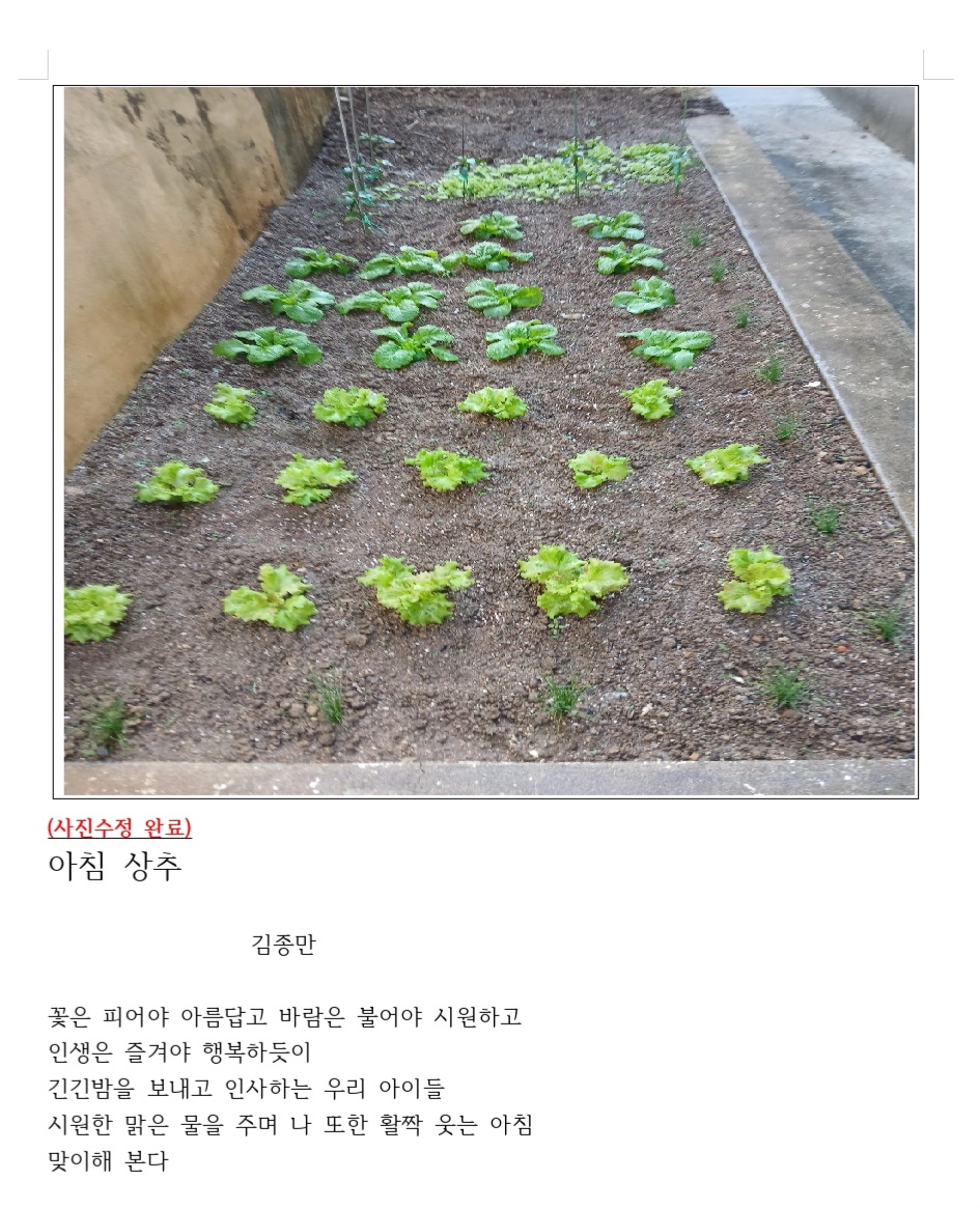 이미지 1:다카시_김종만 