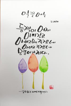 사진갤러리